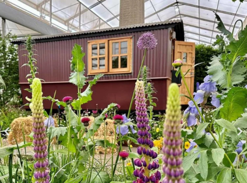 Behind the scenes at Chelsea Flower Show with Cosywool Insulation