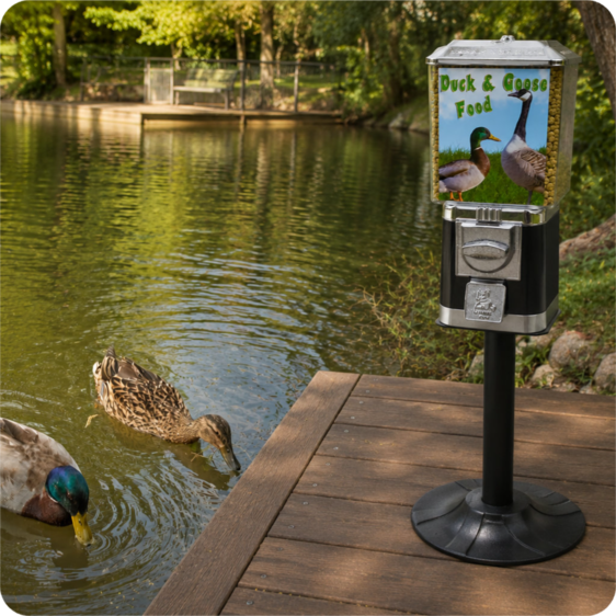 Duck and Goose Food Vending Machine