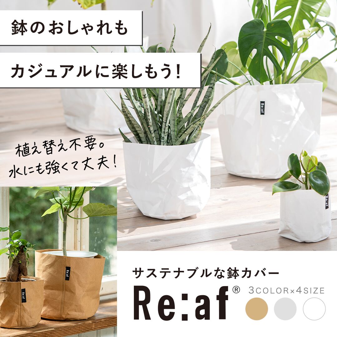 サステナブルな鉢カバー Re:af® (リーフ)