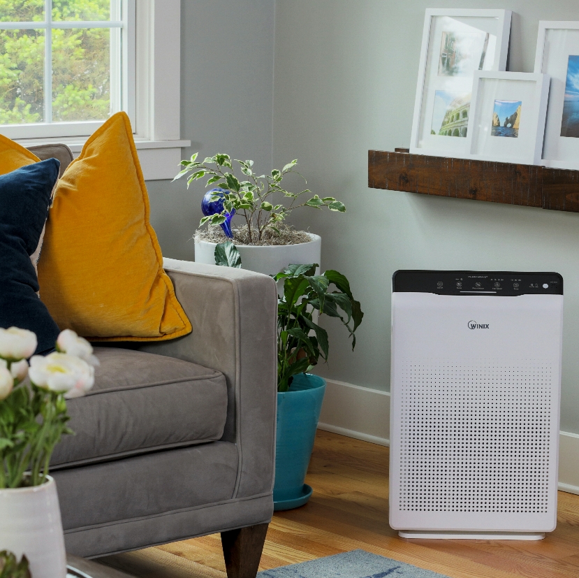 Winix Air Purifiers