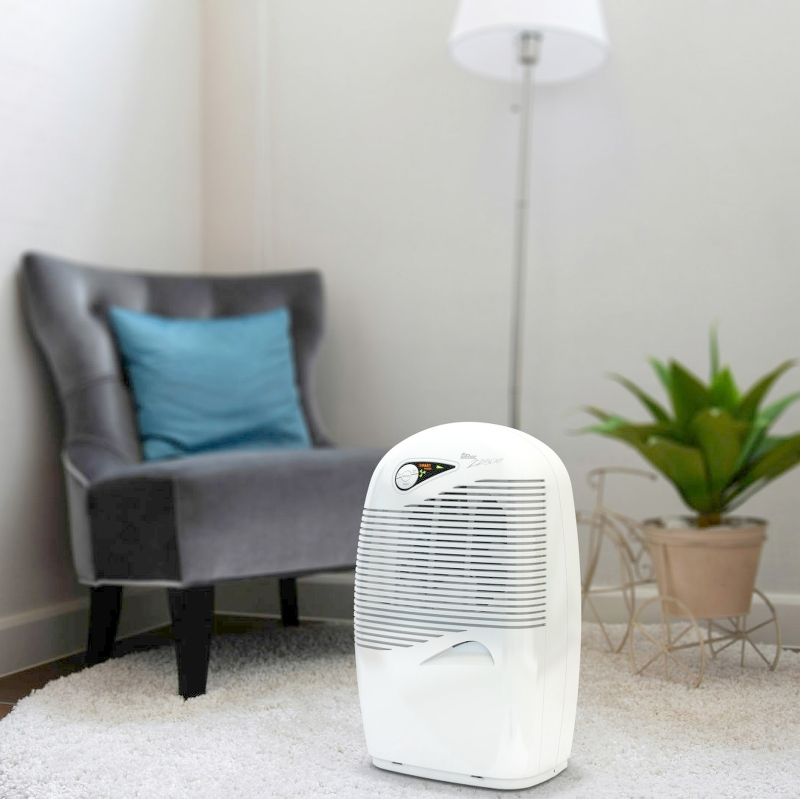 Ebac dehumidifiers