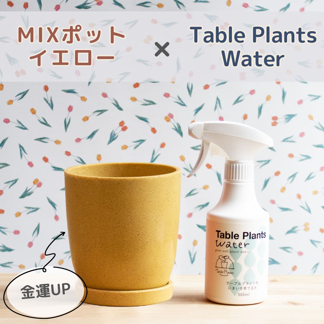【Table Plantsにぴったり！】リサイクルMIXポット+Table Plants Waterセット - 03.イエロー鉢×テーブルプランツウォーターセット