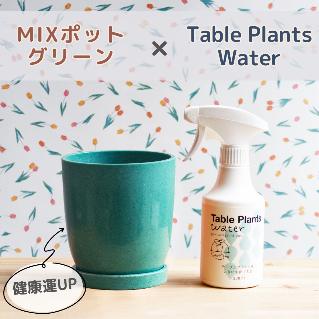 【Table Plantsにぴったり！】リサイクルMIXポット+Table Plants Waterセット - 02.グリーン鉢×テーブルプランツウォーターセット