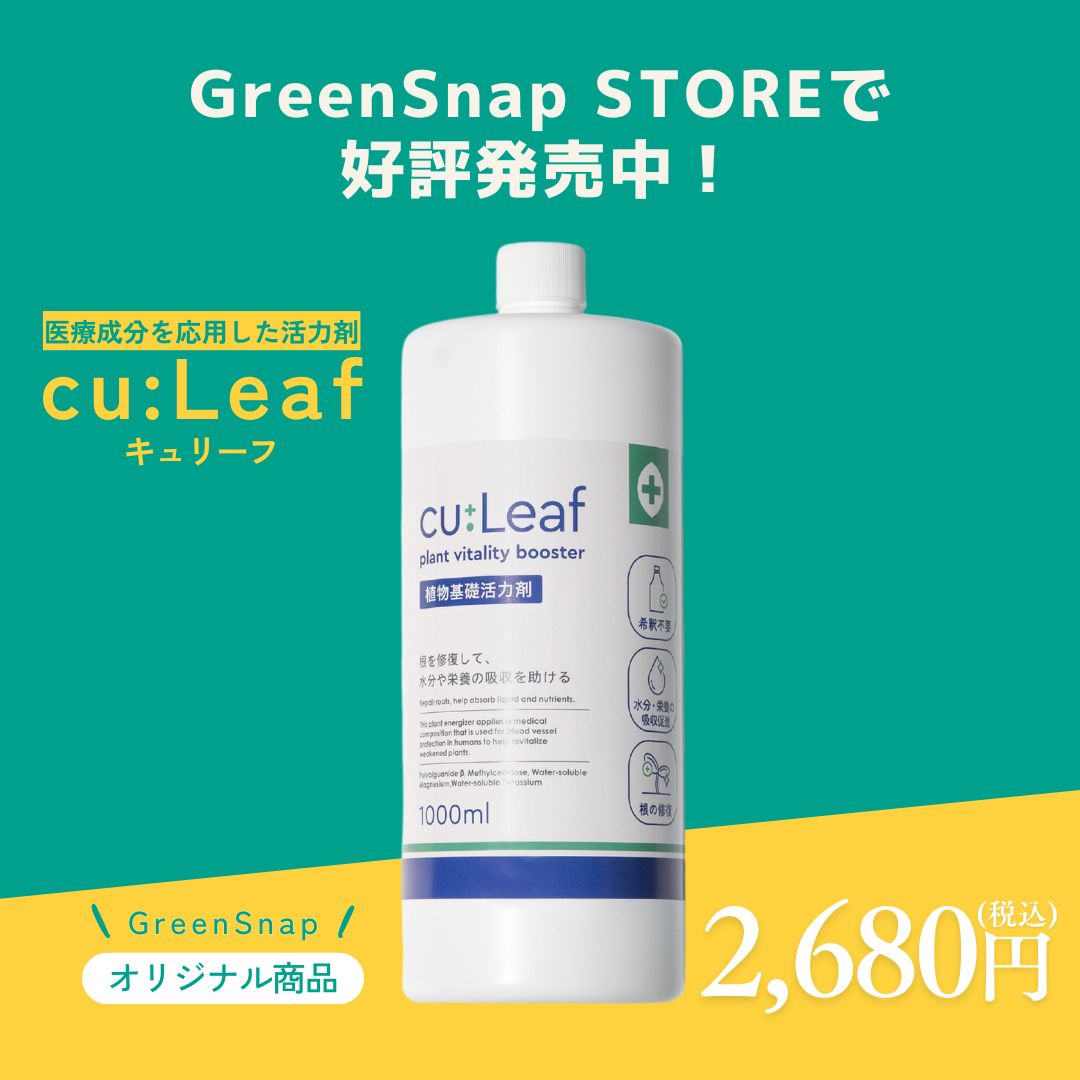 【植物基礎活力剤】cu:Leaf（キュリーフ） 1000ml