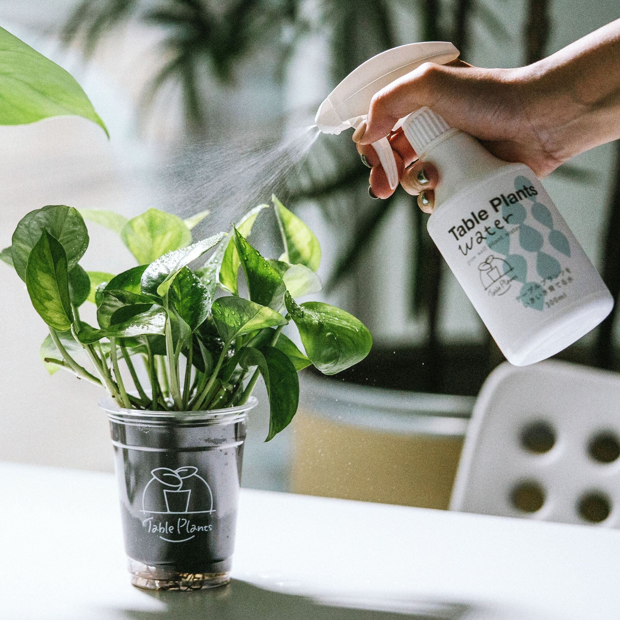 【観葉植物をいきいき育てる水】Table Plants Water (テーブル プランツ ウォーター)