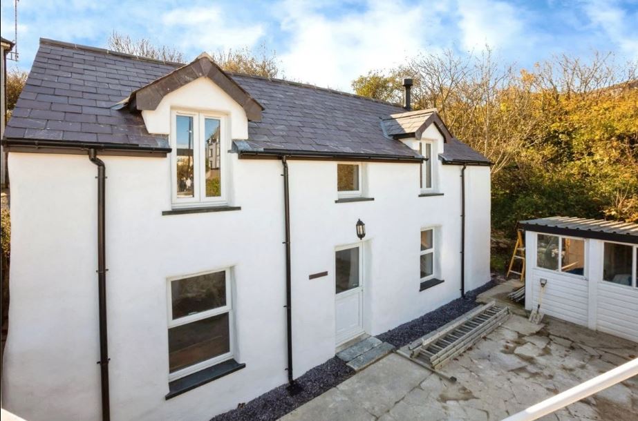 Read Full Beeck Article