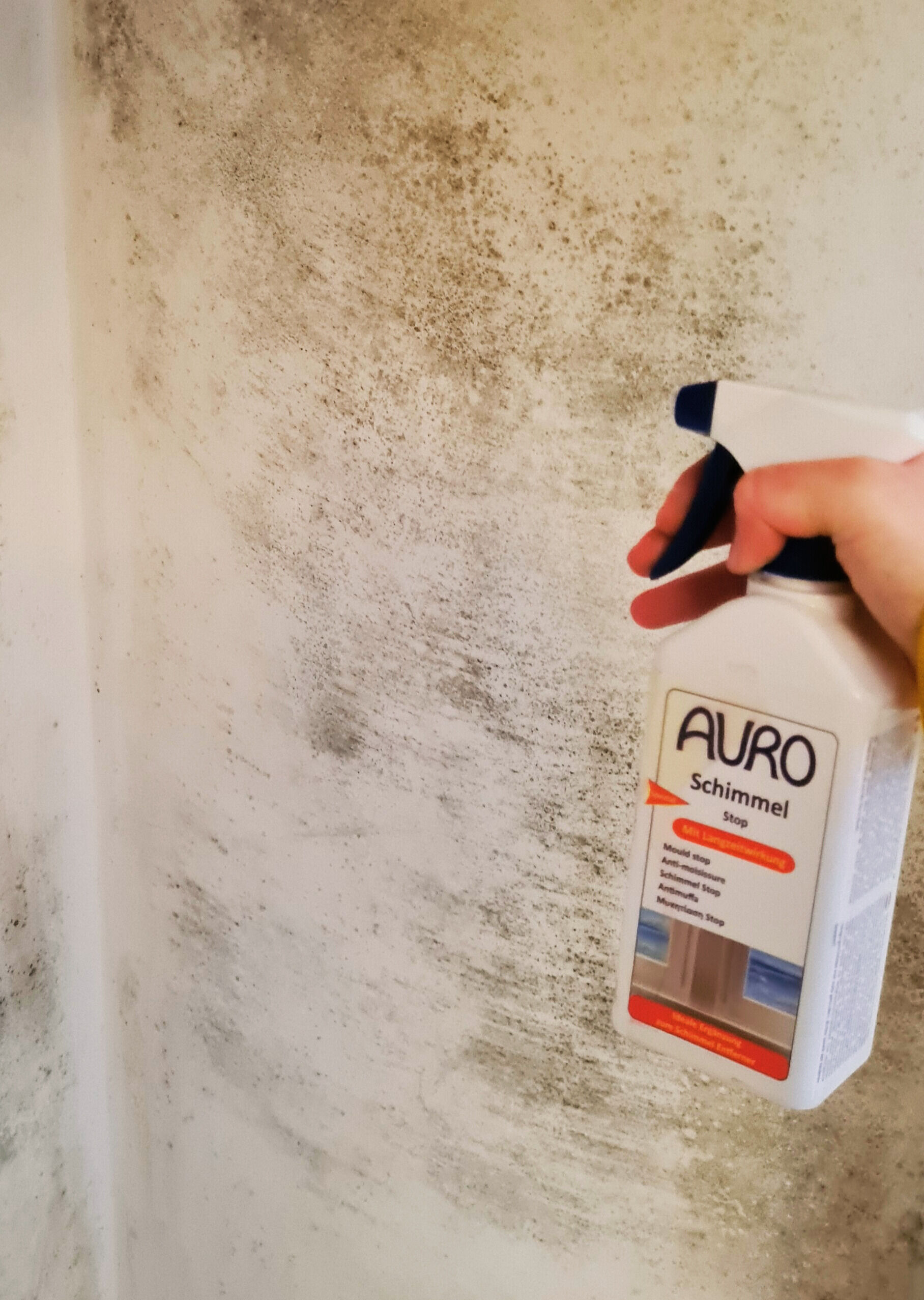 Auro 413 Natural Mould Stop