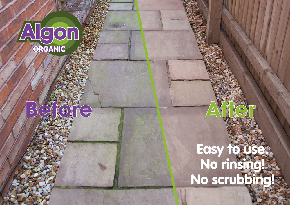 algon patio cleaner