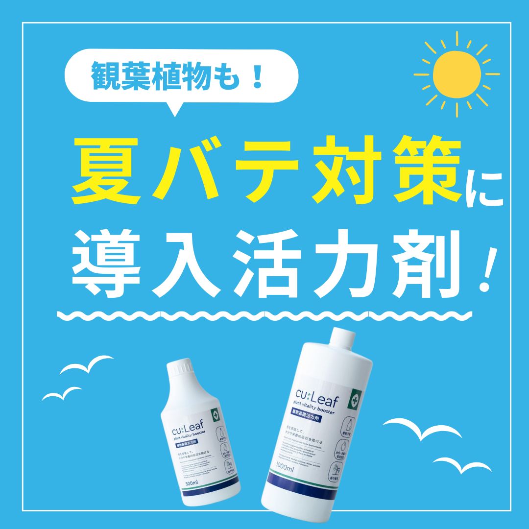 【導入活力剤】cu:Leaf®（キュリーフ） 1000ml