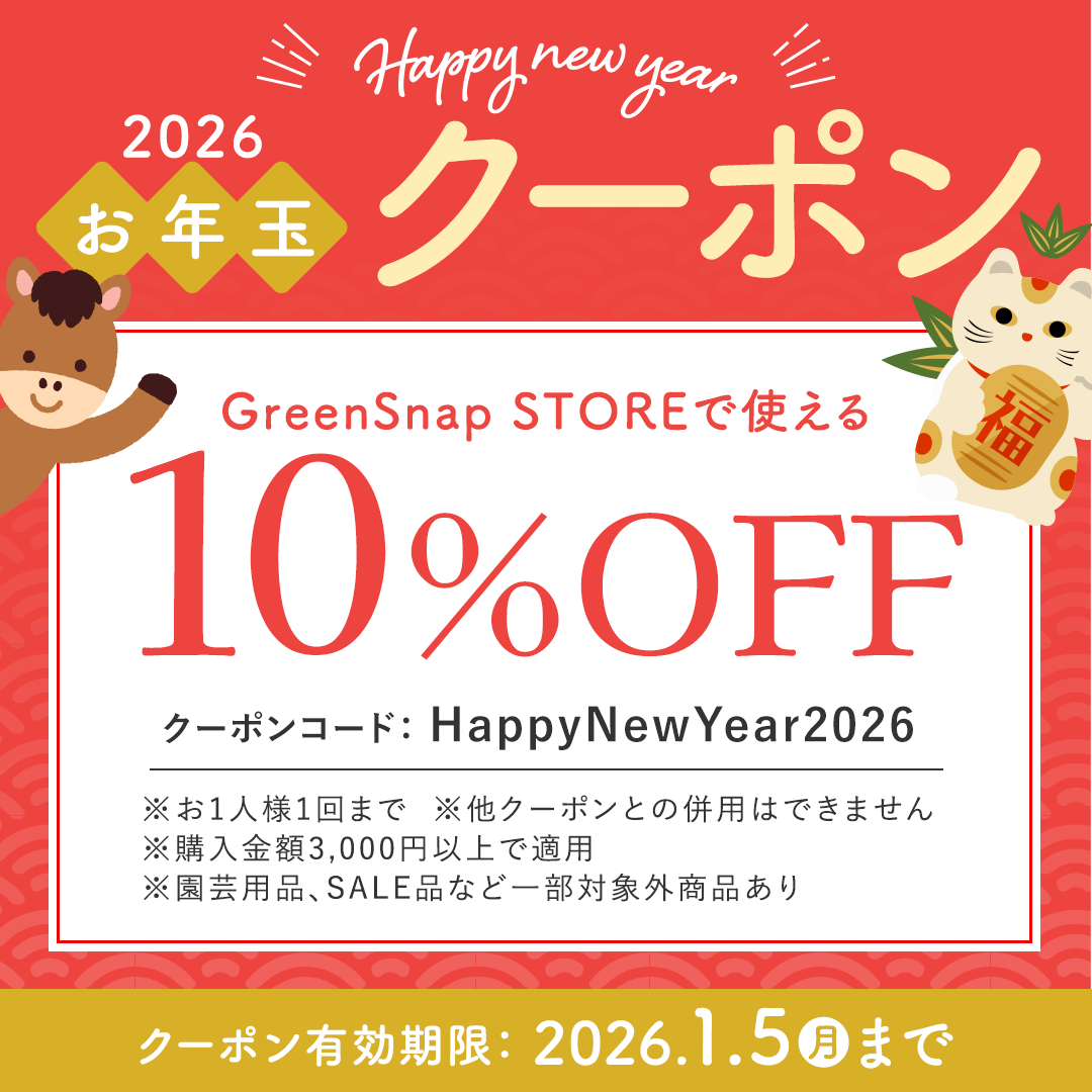 お年玉10％OFFクーポン