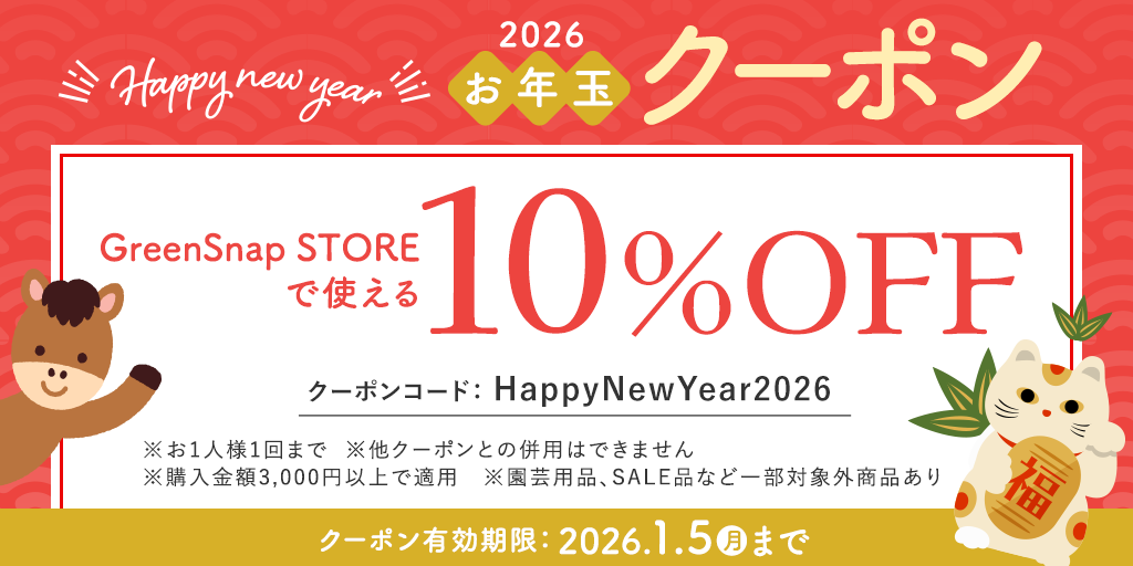 お年玉10％OFFクーポン